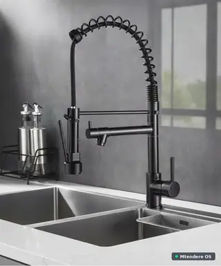 Black Spring-Style Kitchen Faucet