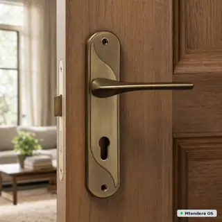 Antique Brass Door Handle