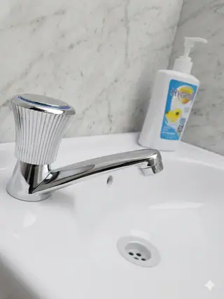 Basin Pillar Tap