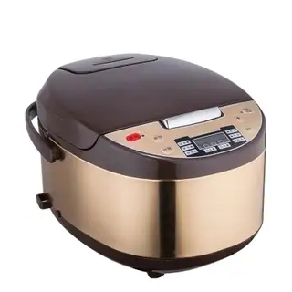 RAF Rice Cooker