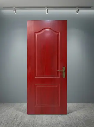 Premium Interior Flush Door - P15