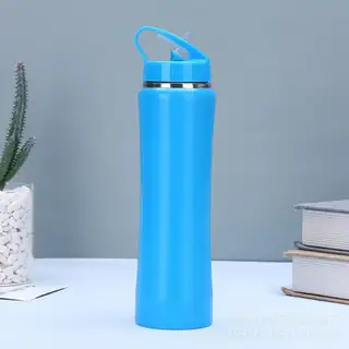 Insulated Stainless Steel Flask