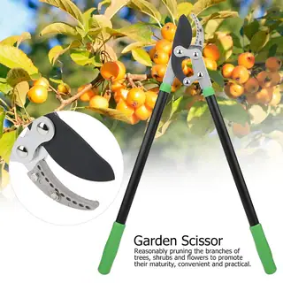 Heavy Duty Lopping Shears