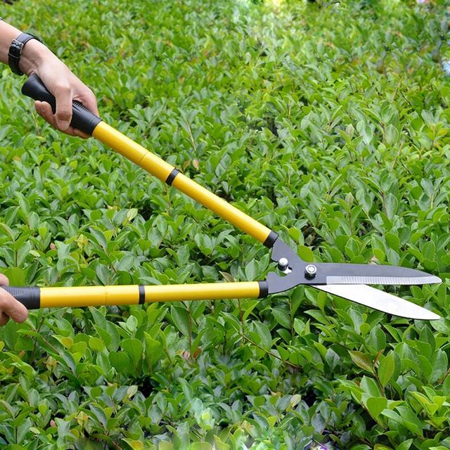 Extendable Hedge Pruning Shears