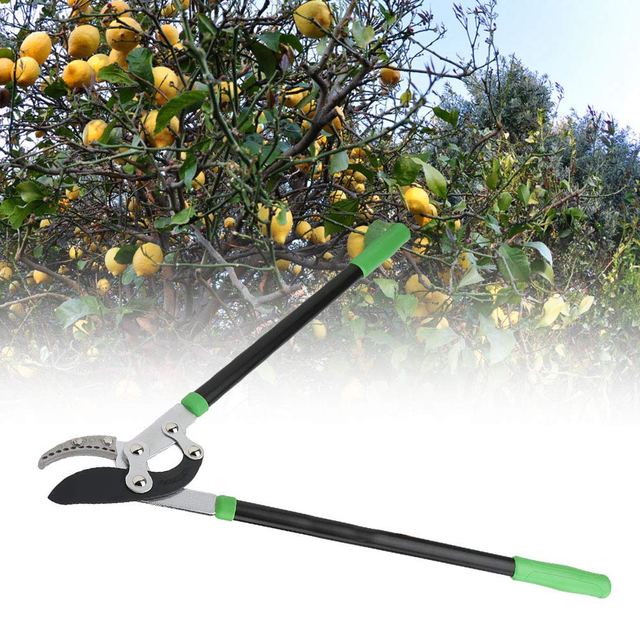 Heavy Duty Lopping Shears, photo 2