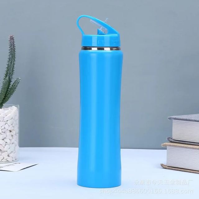 Insulated Stainless Steel Flask