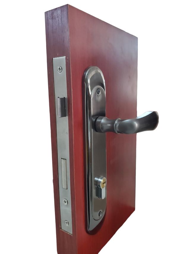 LINCY Brand Mortise Door Lock 🔑 - Black Curved