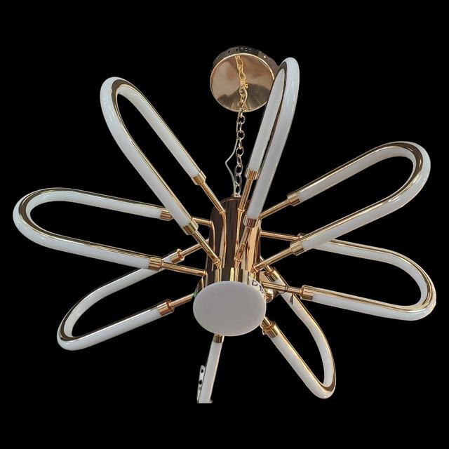 Modern Creative LED Ceiling Light