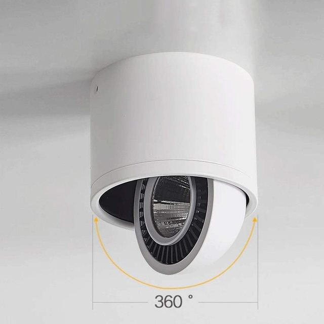 Pivoting LED Ceiling Downlight