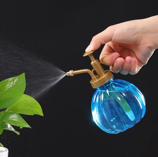 Plant Watering Pot