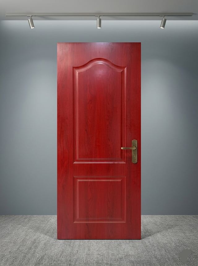 Premium Interior Flush Door - P15